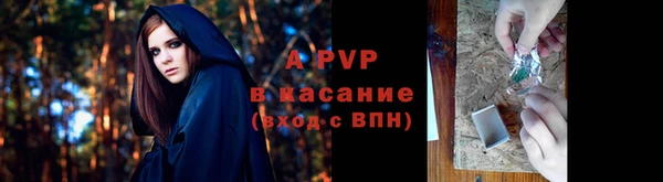 стаф Баксан