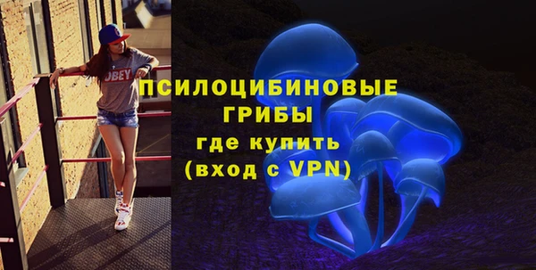 стаф Баксан