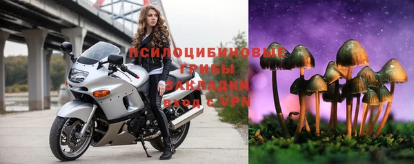 стаф Баксан