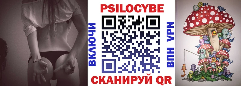 кракен зеркало  Белокуриха  Галлюциногенные грибы мицелий  купить наркоту 